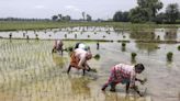 ‘Changing monsoon altering crop cycles’