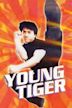 Young Tiger