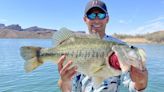 Bass of a lifetime: A story of catching (and releasing) a Lake Havasu largemouth