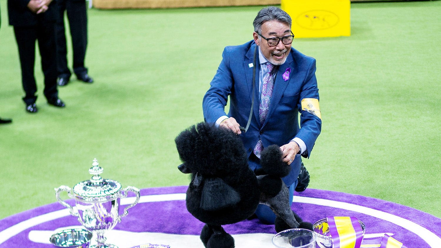 Westminster Dog Show 2024: Sage the Miniature Poodle wins Best in Show