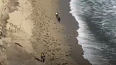 Kite surfer spells out word 'HELP' on a California beach