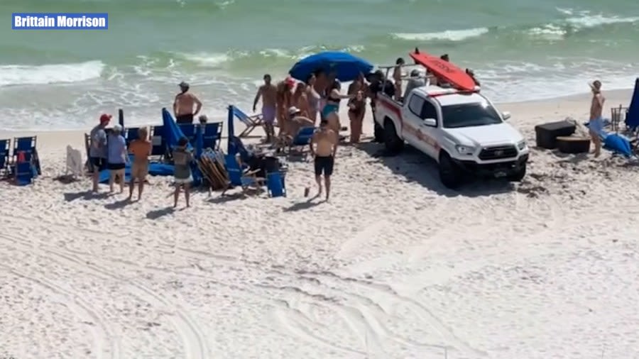 Doctors on vacation help save shark attack victim