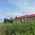 Catholic University of Bukavu