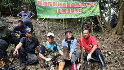 林業保育署屏東分署推動林下經濟 攜手在地進行山茶復育 | 蕃新聞