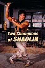 2 Champions of Shaolin