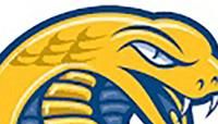 LOCAL COLLEGE ROUNDUP: Coker tabs Johnson as new field hockey coach