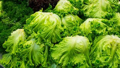 E.coli: 13 more cases of food poisoning linked to lettuce confirmed