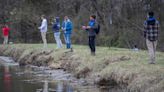 Are fish from Kentucky lakes, rivers safe to eat? New state guidance details the risk.