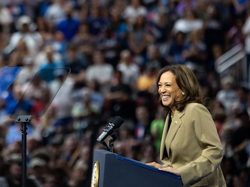 The 2024 Democratic National Convention kicks off next week. Here's what to expect.