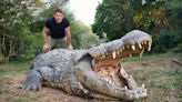 Killer Crocs with Steve Backshall, review: an unsettlingly close encounter with seriously scary beasts