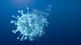 Wow: Geneticists Created an Organism Immune to All Viruses