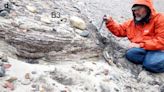 Descubierto en Groenlandia: el ADN más antiguo del mundo tiene 2 millones de años