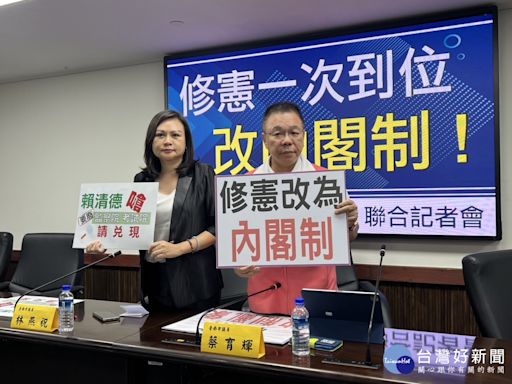 台南藍營議員要求立院成立「修憲委員會」 喊總統制改內閣制