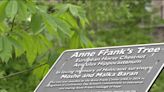 Squirrel Hill school plants sapling of Anne Frank's chestnut tree in honor of 2 Holocaust survivors