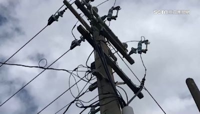 跳電無關缺電！台電秀數據喊冤：停電10年減少7成「絕沒找小動物扛責」