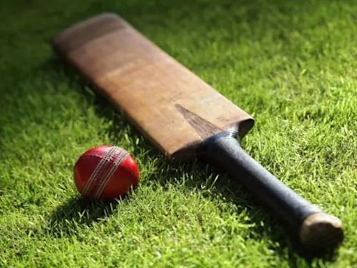 Gujarat teenager Drona Desai plays marathon 498-run knock in school cricket