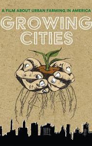 Growing Cities