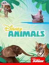 Disney Animals