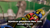 Lotería de Nueva York en vivo: resultados y ganadores del domingo 28 de abril de 2024 - El Diario NY