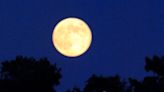 What's your moon? A guide to the names and dates of the 2024 full moons