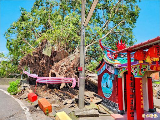 颱風強襲 草屯百年老榕樹傾倒