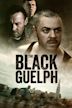 The Black Guelph