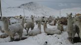 Nevadas en la sierra sur cubrieron un área de 8,000 km2, similar a toda Lima metropolitana