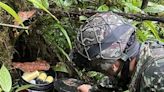 Segunda Marquetalia instaló artefactos explosivos cerca a resguardo indígena en Tumaco, Nariño