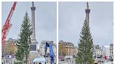 Trafalgar Square’s Christmas tree mocked after arriving from Norway: ‘Where’s the other half of it?’