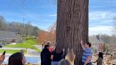 Mars Hill students, faculty join residents to mourn 10 campus trees ahead of removal