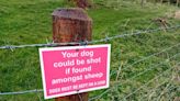 Visitors to Dales ‘do not know where to exercise dogs’