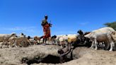 Northern Kenya faces hunger crisis as drought wipes out livestock