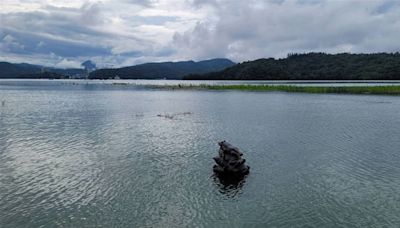 鋒面降雨大進補！日月潭水庫進帳600萬噸 9蛙疊像「4蛙見客」解乾旱