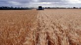 U.N.'s FAO receives $17 million for Ukraine grain storage