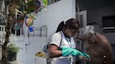 Brazil is in the grip of a dengue fever outbreak with no end in sight