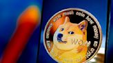 Kabosu, the Beloved Shiba Inu Behind the Doge Meme, Dead at 18