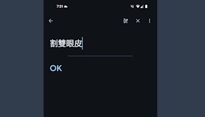 想要割雙眼皮？Google翻譯說「OK」!