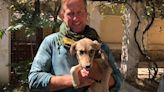 How Pen Farthing's mission to save Kabul's dogs cost him everything