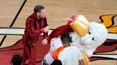 Calls for Conor McGregor to be investigated after violent punch hospitalised Miami Heat mascot