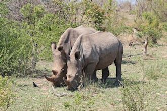 Kruger National Park