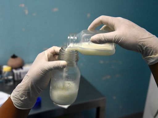 Nanoplastics and forever chemicals may hinder child development by altering breast milk