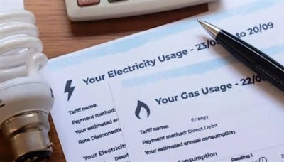 British Gas, Octopus, EDF and OVO customers warned to 'review' energy bills immediately