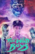 The Wild Boys (film)