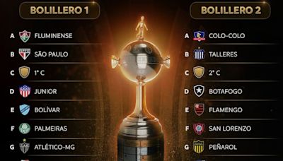 Copa Libertadores y Copa Sudamericana: quiénes son los siete equipos argentinos en carrera
