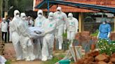 What is the deadly Nipah virus and why is it flaring up again