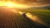 Un uso óptimo de la tierra incrementaría la producción de alimentos exponencialmente