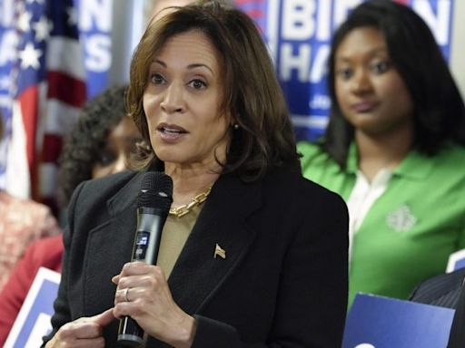 Prominent Biden donor says he won’t fundraise for Harris