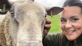 Documentary digging into regenerative farming to screen at Clonmany Festival - Donegal Daily