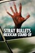 Stray Bullets (film)