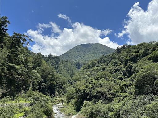 八仙山國家森林遊樂區 木育、森林浴一次暢快 - 臺中市